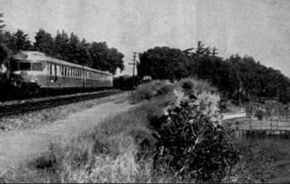 İstanbul'un kaybolan sahilleri