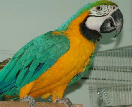 Kaç yıl geçti aradan