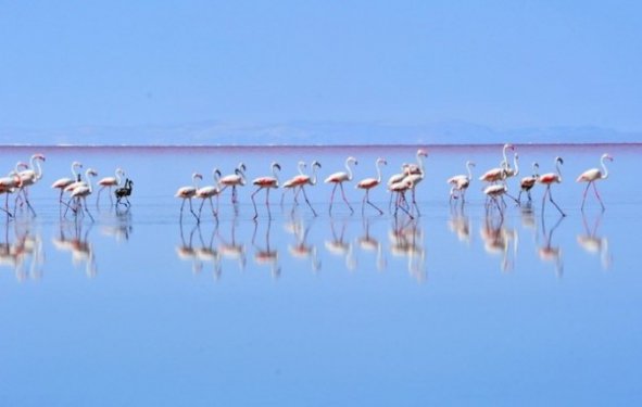 İç Anadolu'da bir mucize