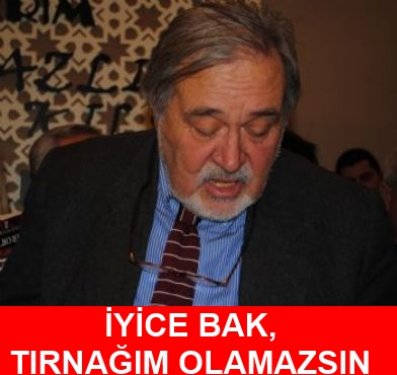 İlber Ortaylı Caps'leri