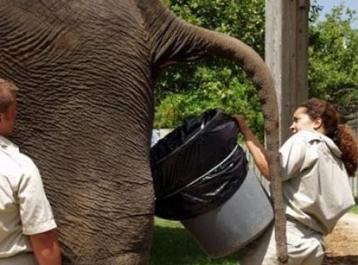 İşte dünyanın en zor meslekleri 