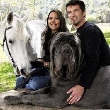 Dünyanın en ilginç olayları