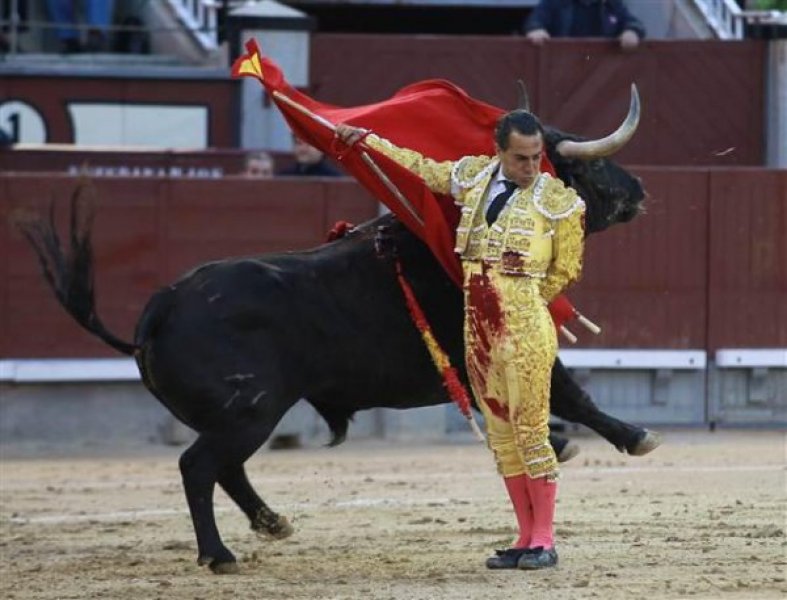 Madrid'de boğa güreşlerini protesto ettiler