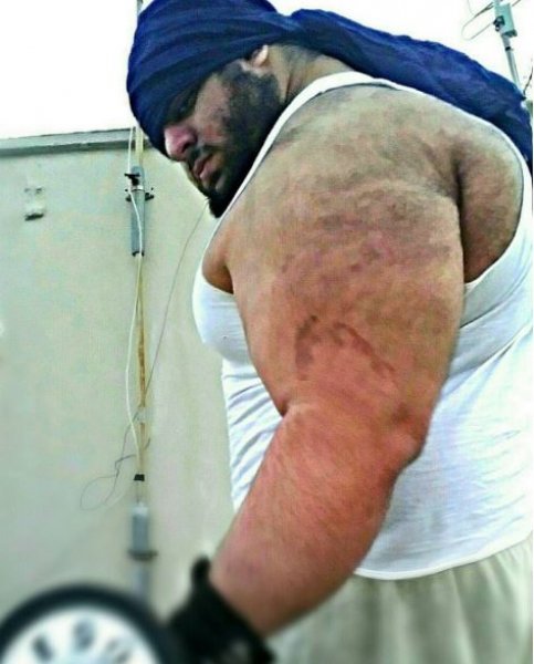 İranlı Hulk Sajad Gharibi