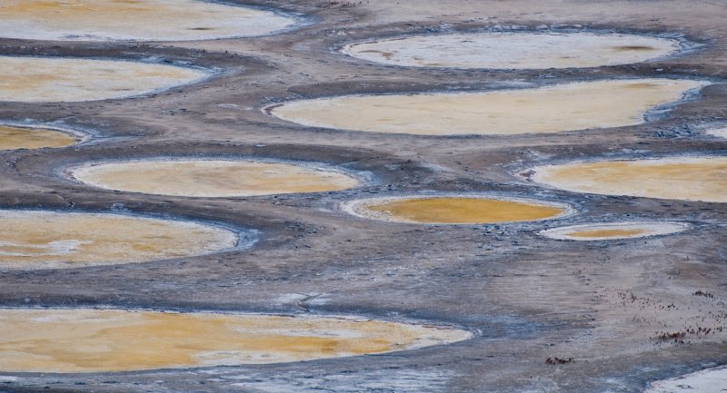 Kanada’nın en ilginç su birikintisi: Lekeli Göl