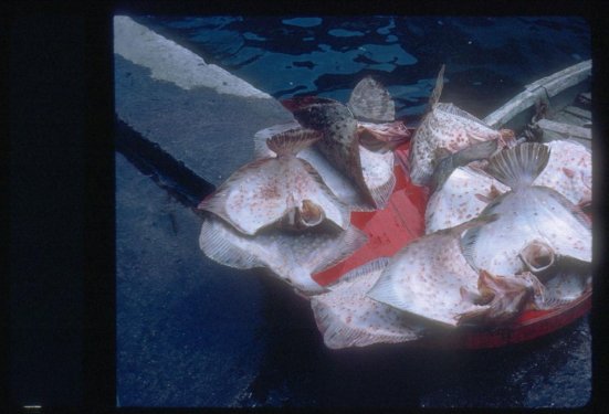 1965 'in İstanbul'undan fotoğraflar yayınlandı