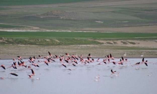 İç Anadolu'da bir mucize