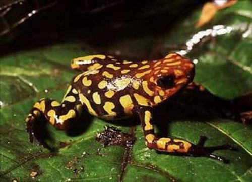 Dünyanın en ilginç olayları