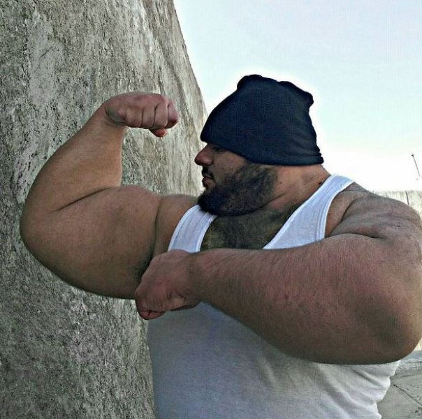 İranlı Hulk Sajad Gharibi