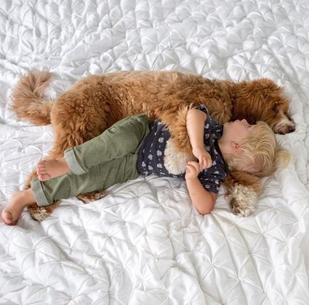 3 yaşındaki Buddy ve en yakın dostu aynı kaderi paylaşıyor