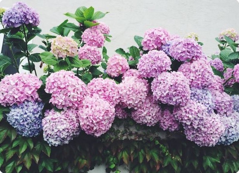 Ünlülerin objektifinden 23 Haziran Instagram paylaşımları 