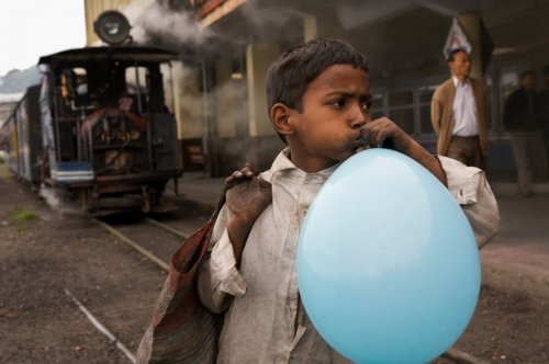 Bu karelerin hepsi ödüllü