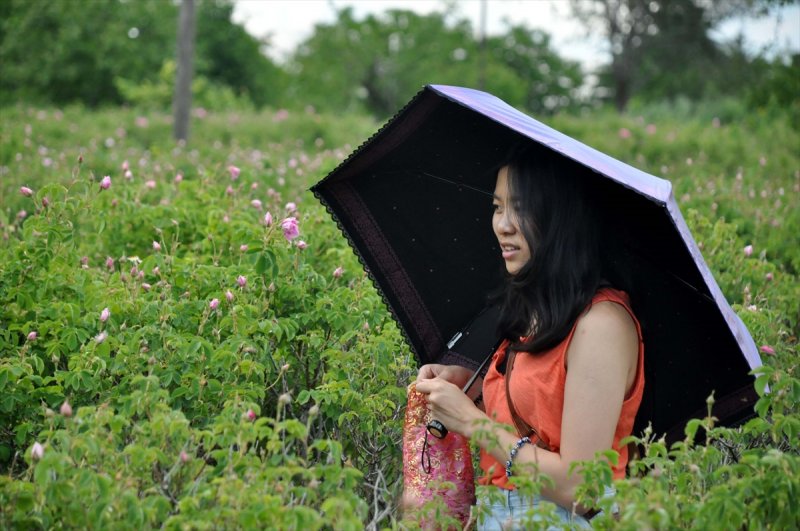 Gül hasadına Uzakdoğu'dan 'yakın' ilgi