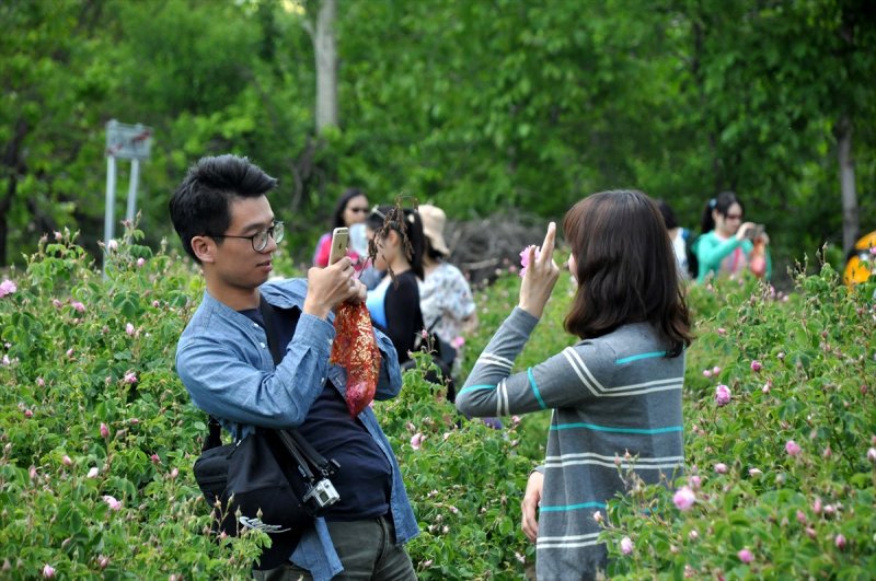 Gül hasadına Uzakdoğu'dan 'yakın' ilgi