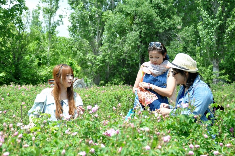 Gül hasadına Uzakdoğu'dan 'yakın' ilgi