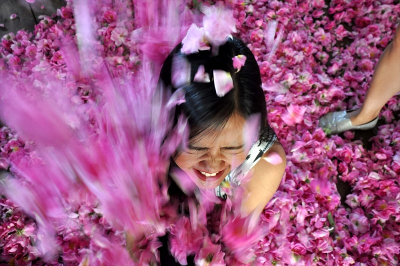 Gül hasadına Uzakdoğu'dan 'yakın' ilgi