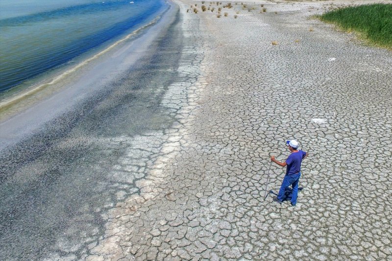 Van Gölü flamingo cennetine dönüştü