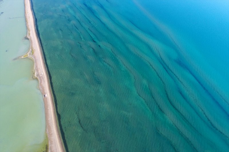 Van Gölü flamingo cennetine dönüştü