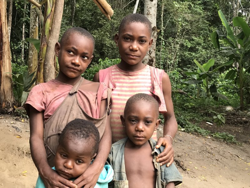 Afrika�nın 5 bin yıllık avcıları Pigmeler