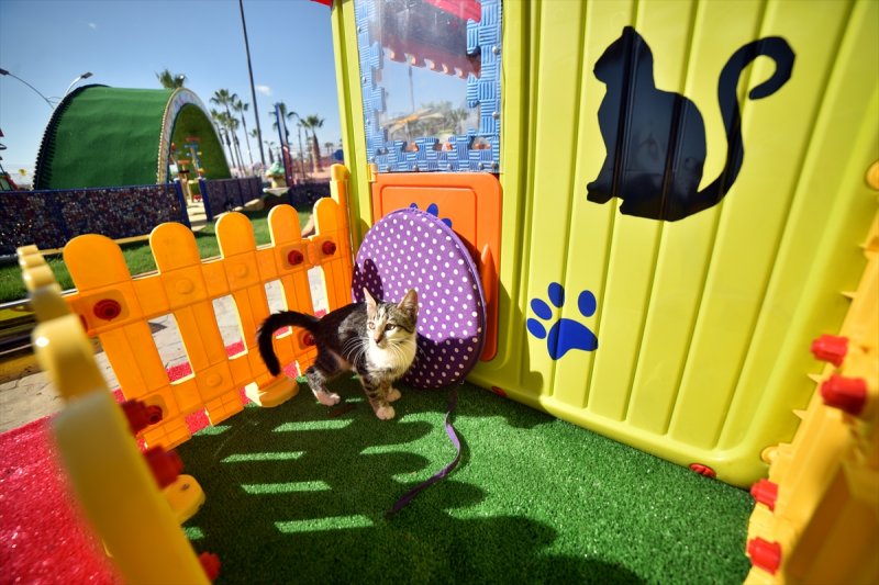 Miyav Park'ın yeni sakinleri