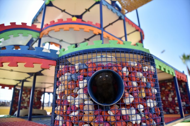 Miyav Park'ın yeni sakinleri