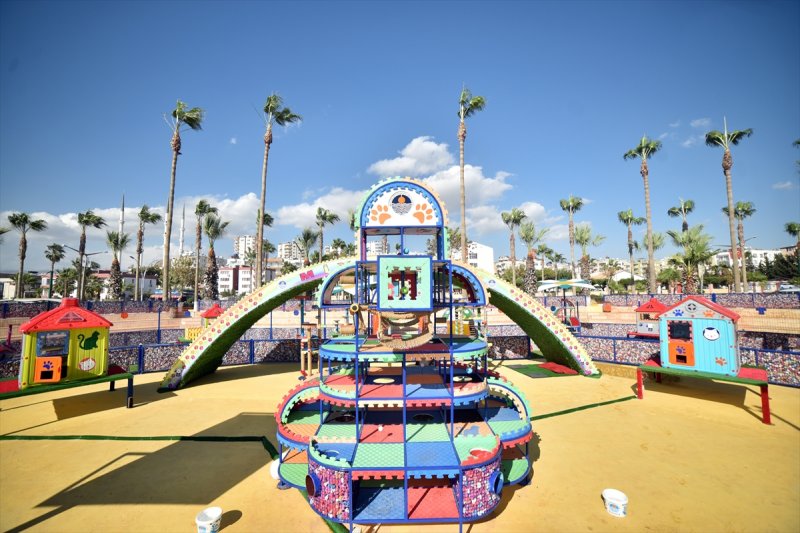 Miyav Park'ın yeni sakinleri