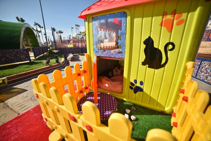 Miyav Park'ın yeni sakinleri