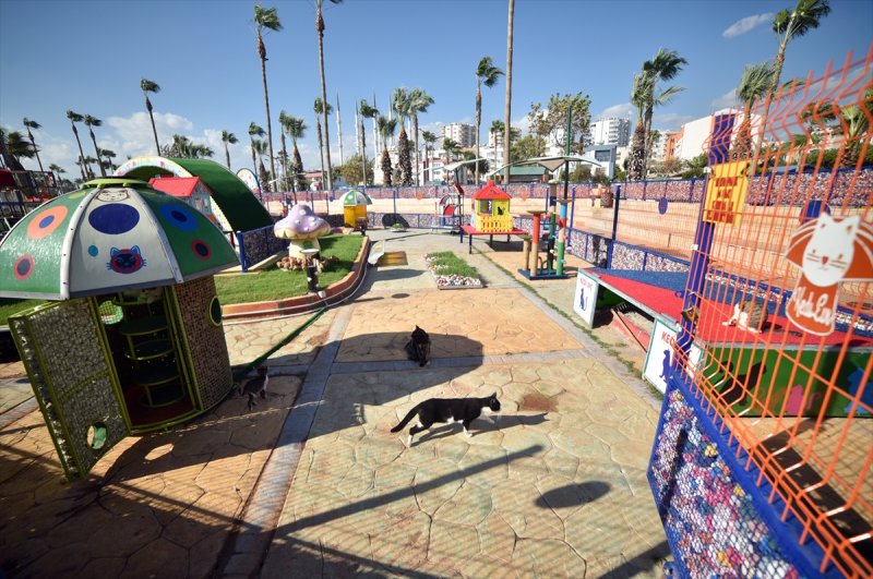 Miyav Park'ın yeni sakinleri