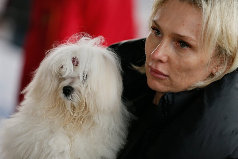 Köpeklerin en kötü ırkları. değerlendirme Köpeklerin en kötü ırkları. değerlendirme
