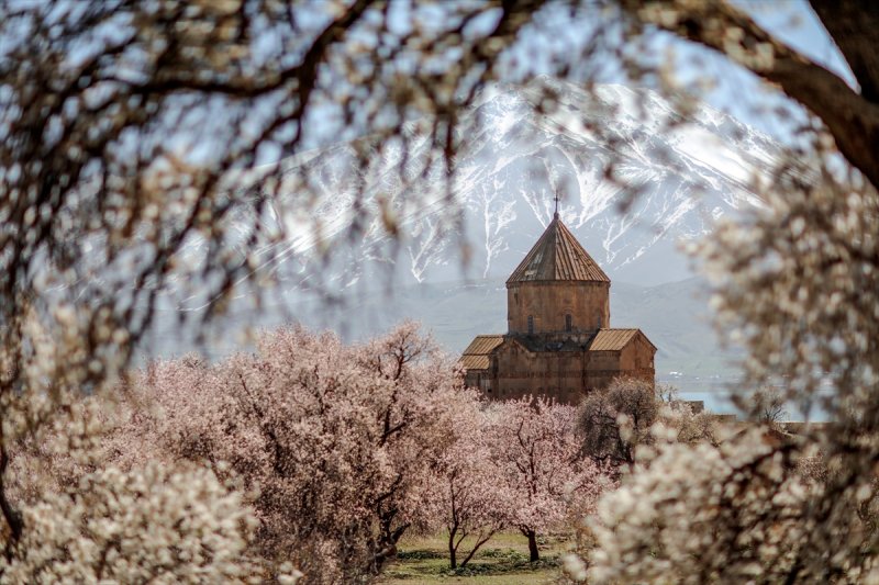 Akdamar Adası'nın tatlı sakinleri