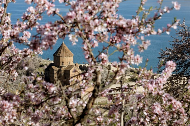 Akdamar Adası'nın tatlı sakinleri