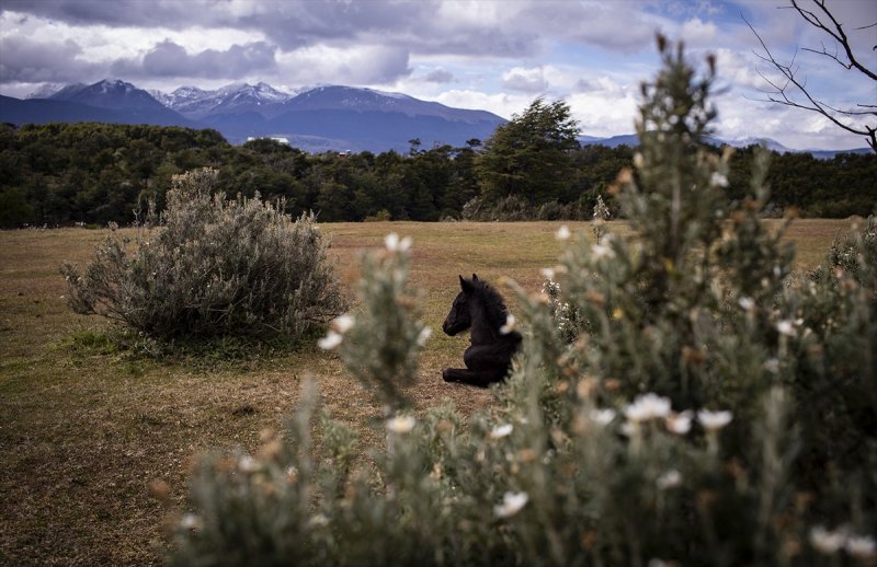 Türk bilim adamları Antarktika'da