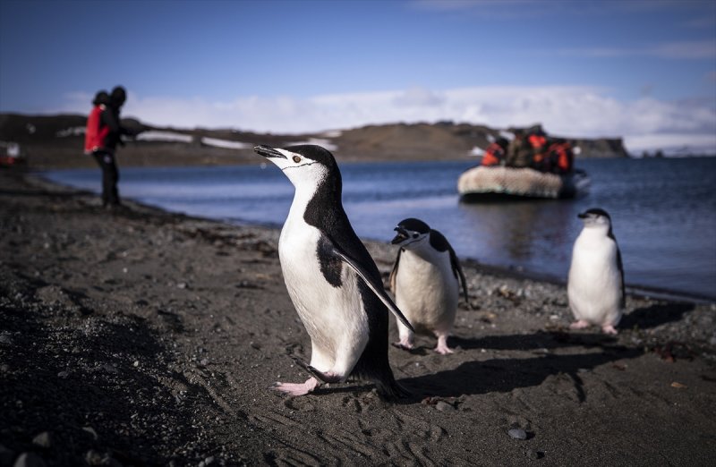 Türk bilim adamları Antarktika'da
