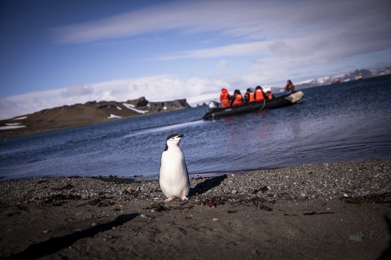 Türk bilim adamları Antarktika'da