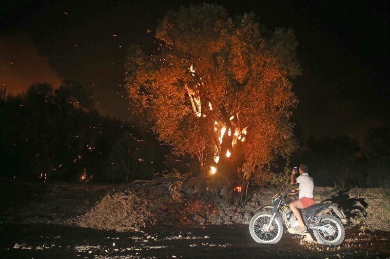 Muğla'da orman yangını 18 saat sonra söndürüldü