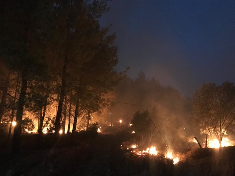 Muğla'da orman yangını 18 saat sonra söndürüldü