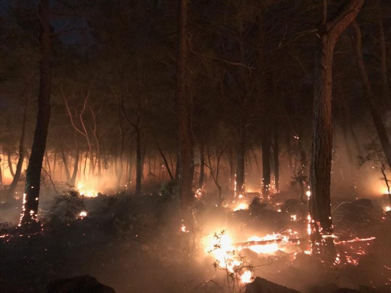 Muğla'da orman yangını 18 saat sonra söndürüldü