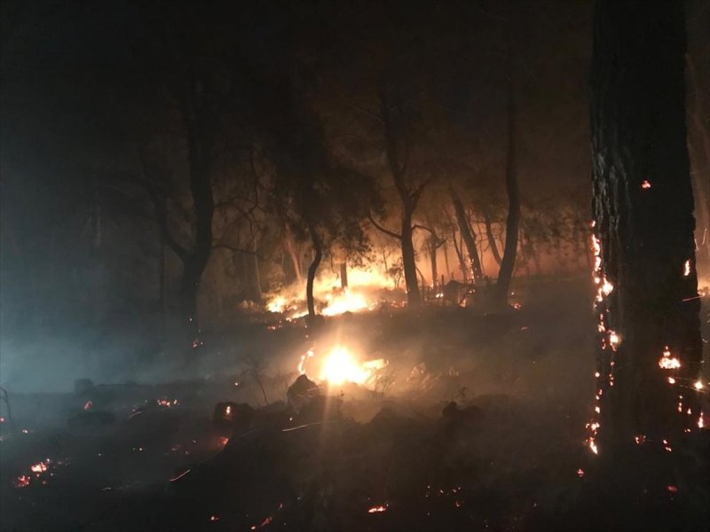 Muğla'da orman yangını 18 saat sonra söndürüldü