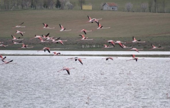 İç Anadolu'da bir mucize