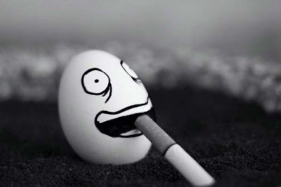 Yumurta ile sınırsız yaratıcılık