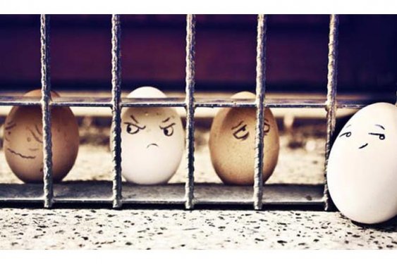 Yumurta ile sınırsız yaratıcılık