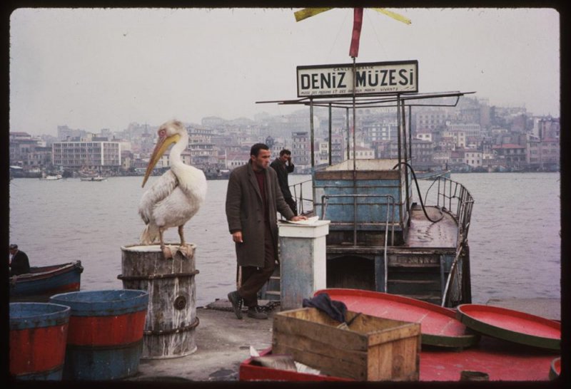1965 'in İstanbul'undan fotoğraflar yayınlandı