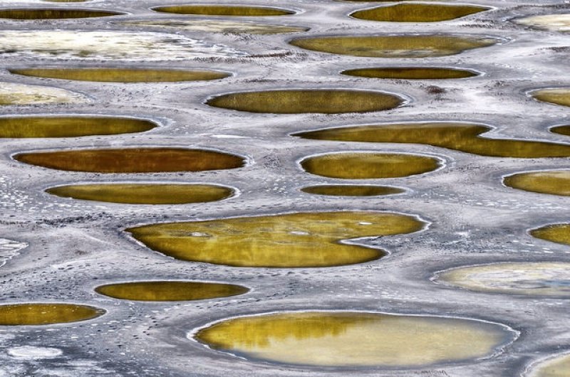 Kanada’nın en ilginç su birikintisi: Lekeli Göl
