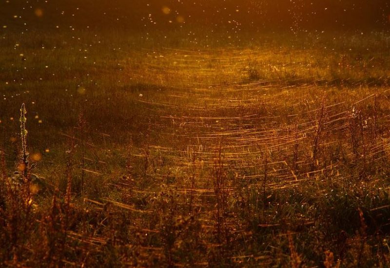 Alman fotoğrafçı Klaus Tamm'ın objektifinden inanılmaz fotoğraflar 