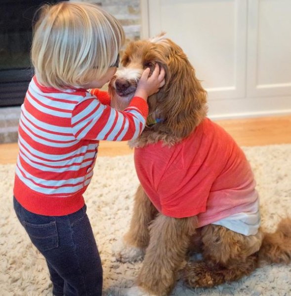 3 yaşındaki Buddy ve en yakın dostu aynı kaderi paylaşıyor