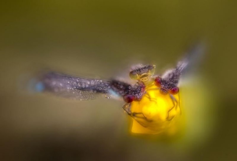 Alman fotoğrafçı Klaus Tamm'ın objektifinden inanılmaz fotoğraflar 