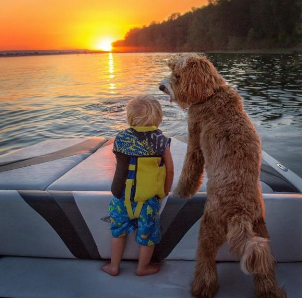 3 yaşındaki Buddy ve en yakın dostu aynı kaderi paylaşıyor