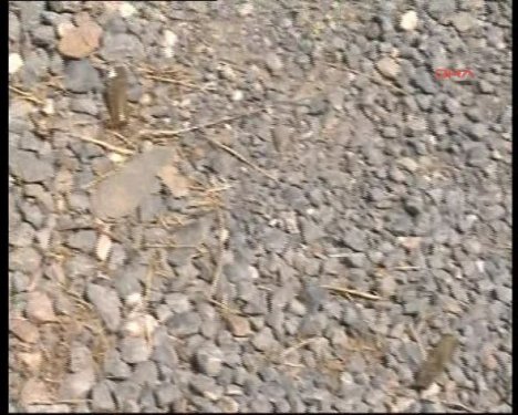 İşte saldırıya uğrayan o karakol 