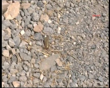 İşte saldırıya uğrayan o karakol 