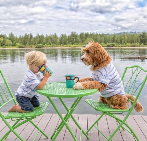 3 yaşındaki Buddy ve en yakın dostu aynı kaderi paylaşıyor